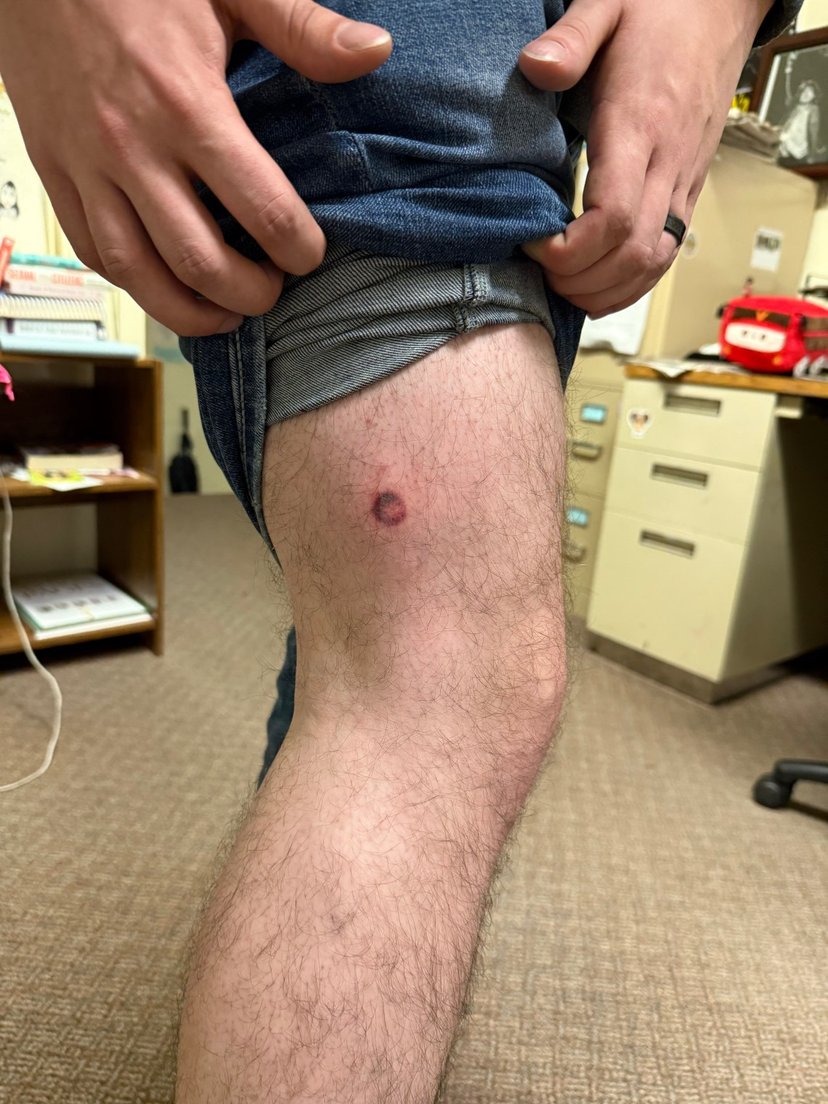 Courtesy The Torch/Agostinho Da Silva