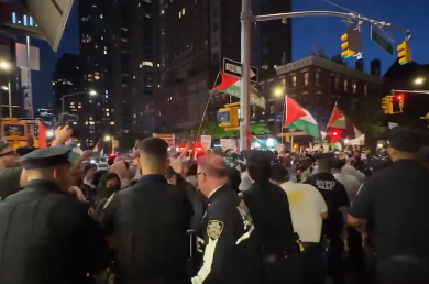 Officers push back pro-Palestinian protesters in New York City on May 5, 2026